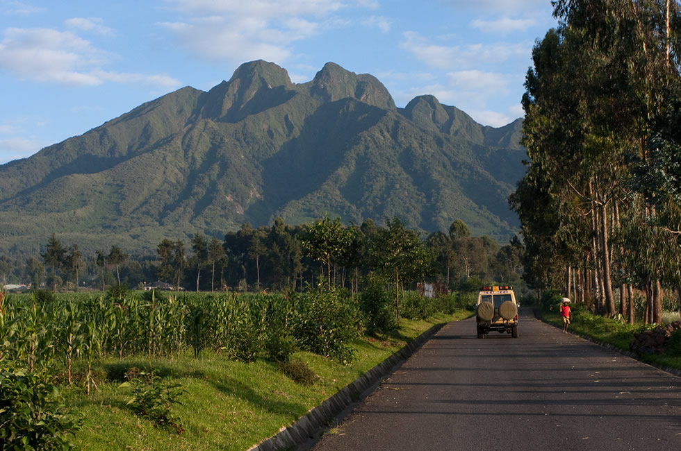 Volcanoes National Park Rwanda